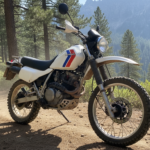 découvrez les caractéristiques détaillées et les avantages uniques de la moto honda dominator, alliant performance, fiabilité et style.