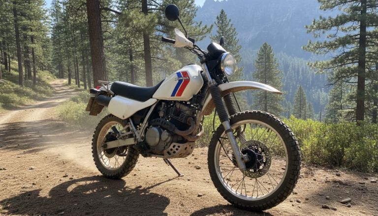 découvrez les caractéristiques détaillées et les avantages uniques de la moto honda dominator, alliant performance, fiabilité et style.